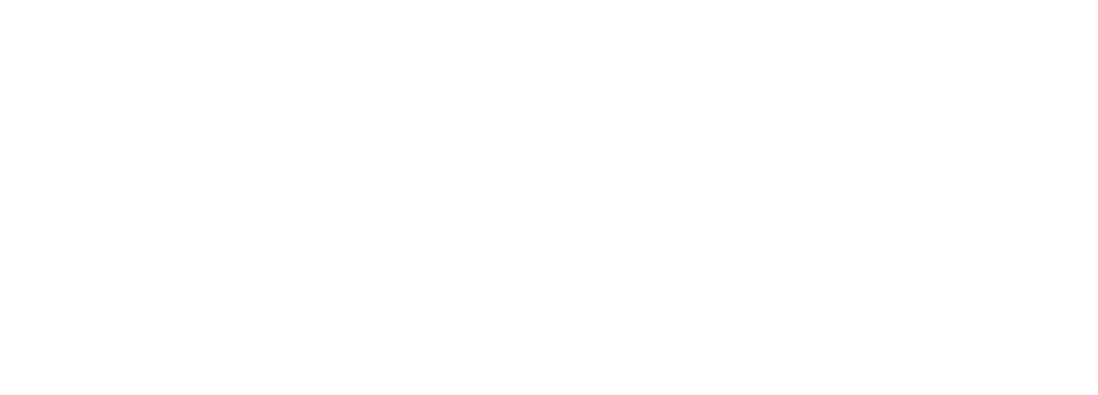 Blinkstone Logistics